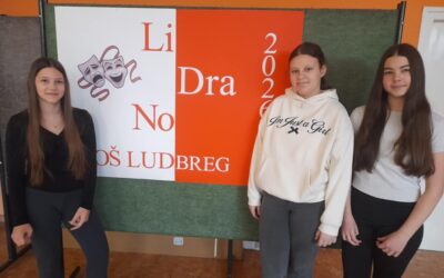 Odličan uspjeh naših učenica na LiDraNu