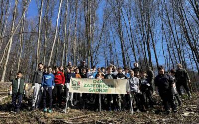 Učenici četvrtih razreda u akciji pošumljavanja